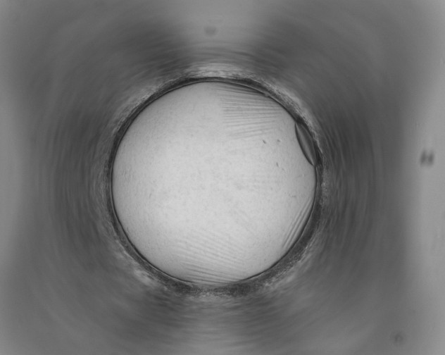 X0000090890529200708171707