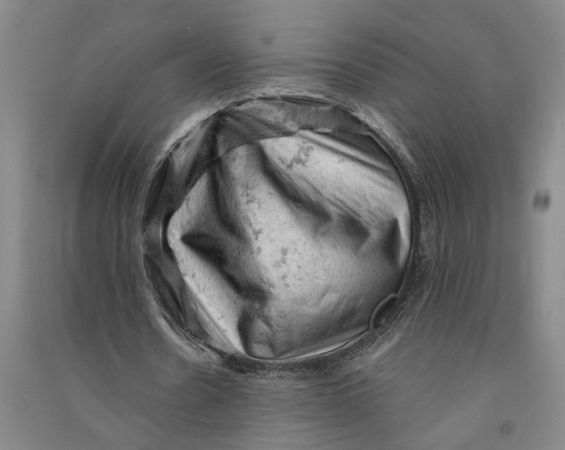 X0000090890530200708171707