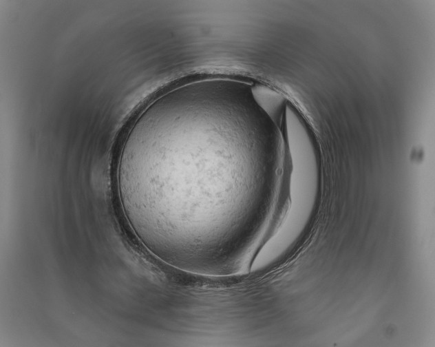 X0000090890531200708171707