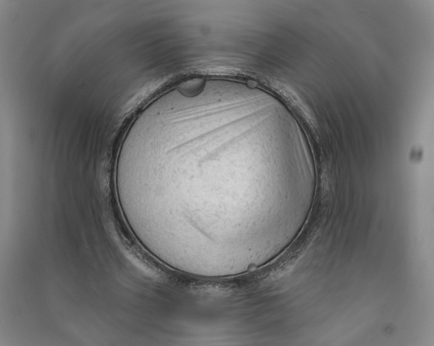 X0000090890533200708171707