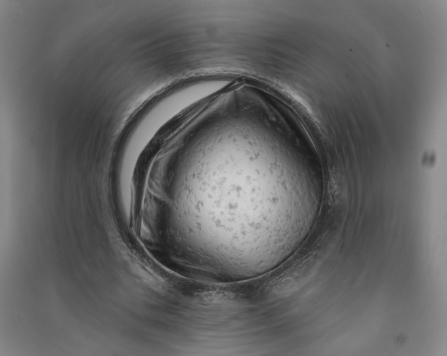 X0000090890535200708171707