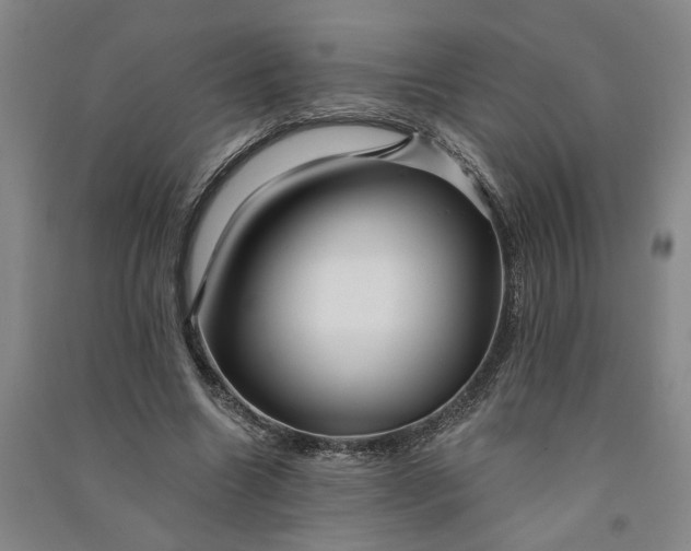 X0000090890538200708171708