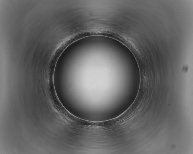 X0000090890539200708171708