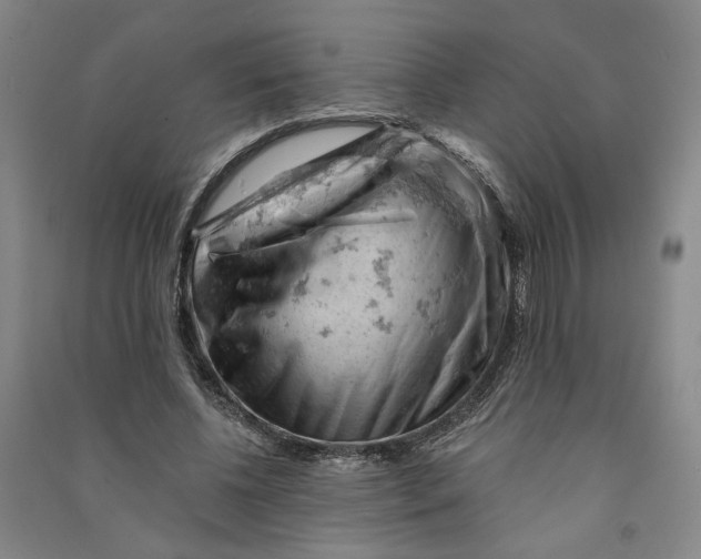 X0000090890540200708171708