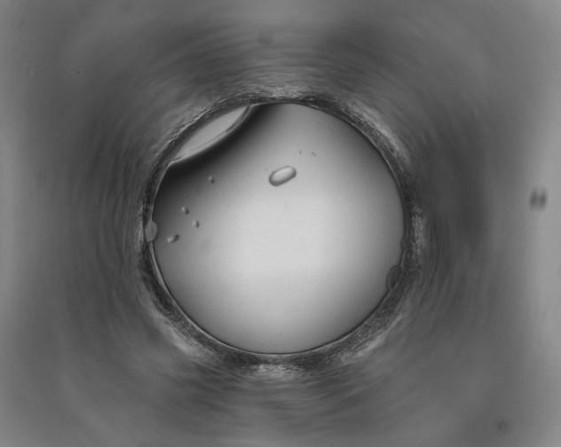 X0000090890541200708171708