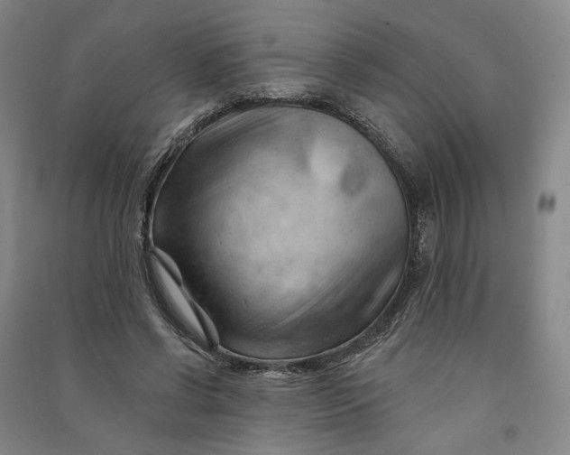 X0000090890542200708171708