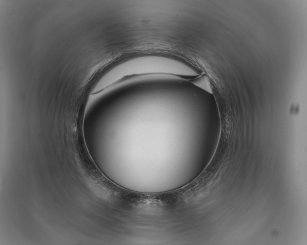 X0000090890543200708171708