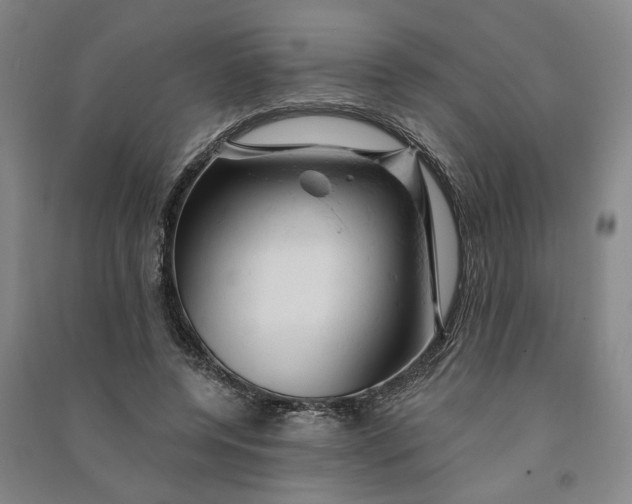 X0000090890544200708171708