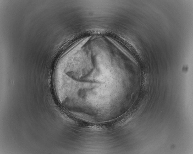 X0000090890545200708171708