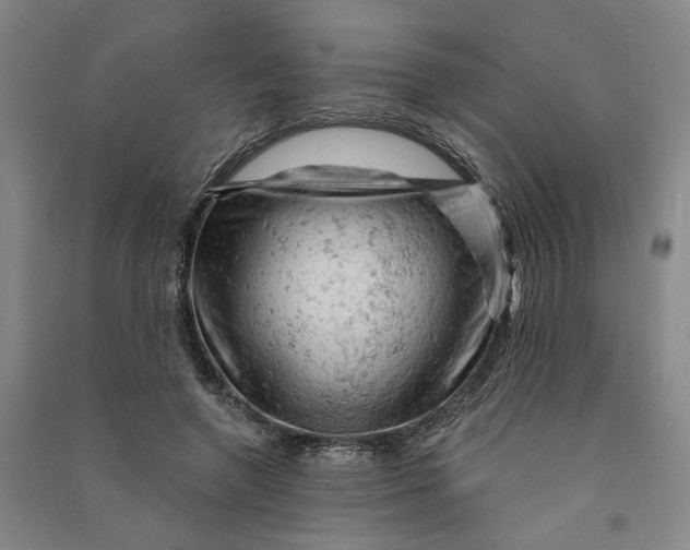 X0000090890546200708171708