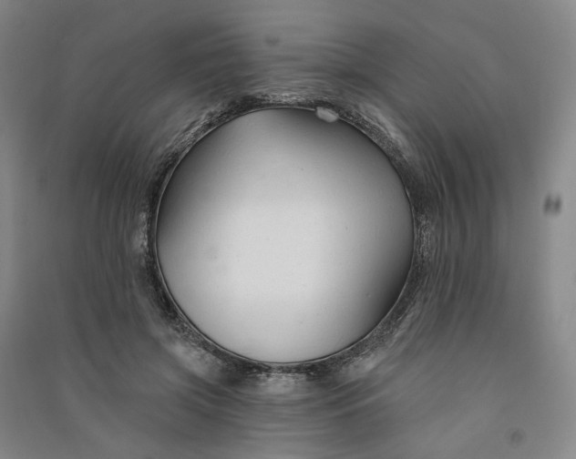 X0000090890549200708171708