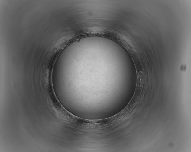 X0000090890550200708171708