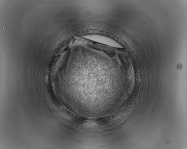 X0000090890551200708171708