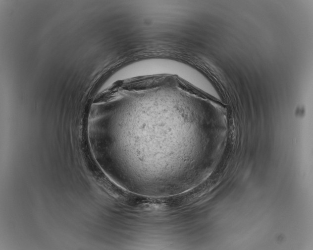 X0000090890552200708171708