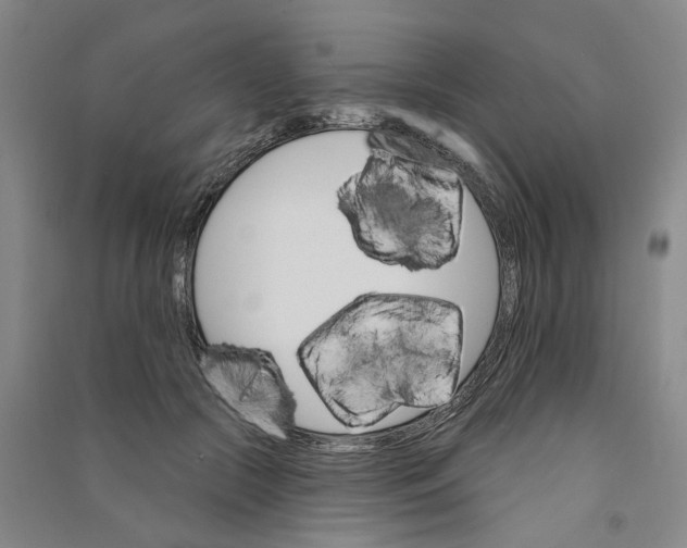 X0000090890553200708171708