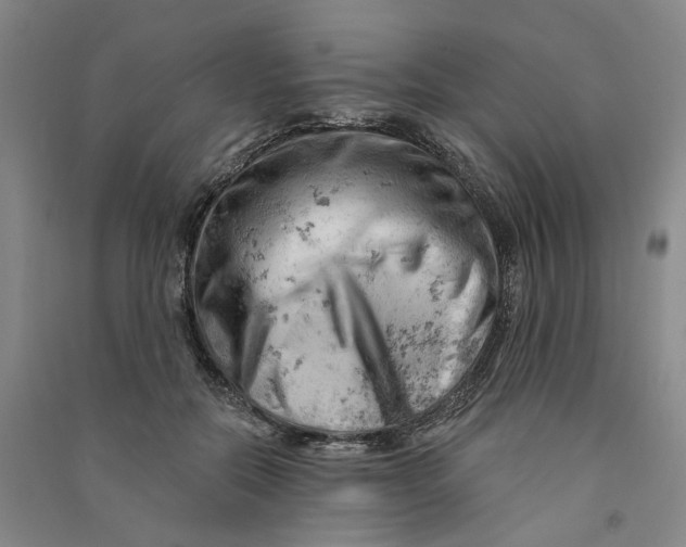 X0000090890554200708171708