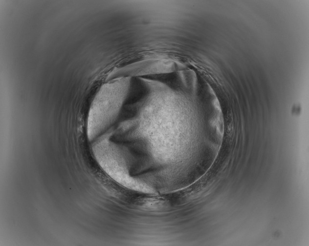 X0000090890555200708171708