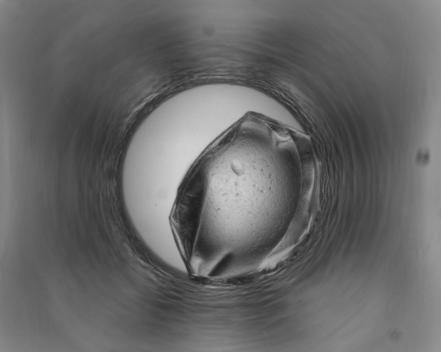 X0000090890556200708171708