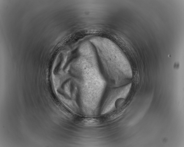 X0000090890557200708171708