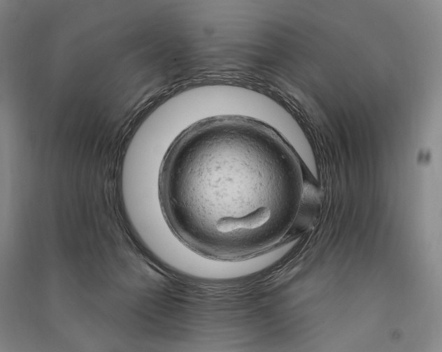 X0000090890558200708171708