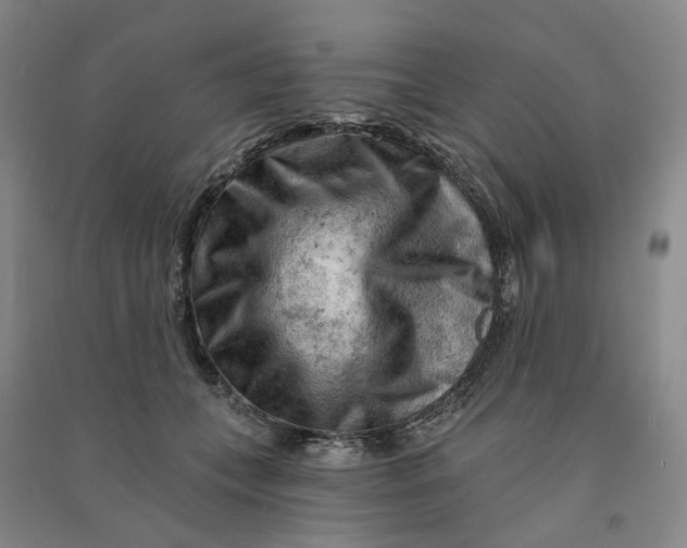 X0000090890559200708171708