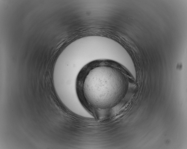 X0000090890560200708171708