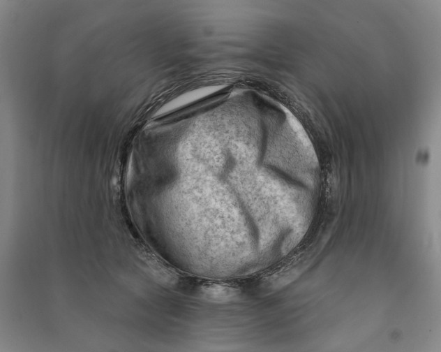 X0000090890561200708171708