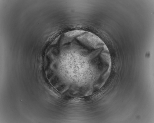 X0000090890563200708171708