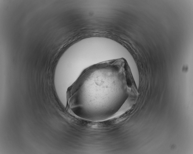 X0000090890564200708171708