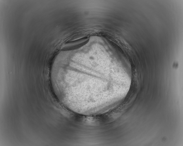 X0000090890565200708171708