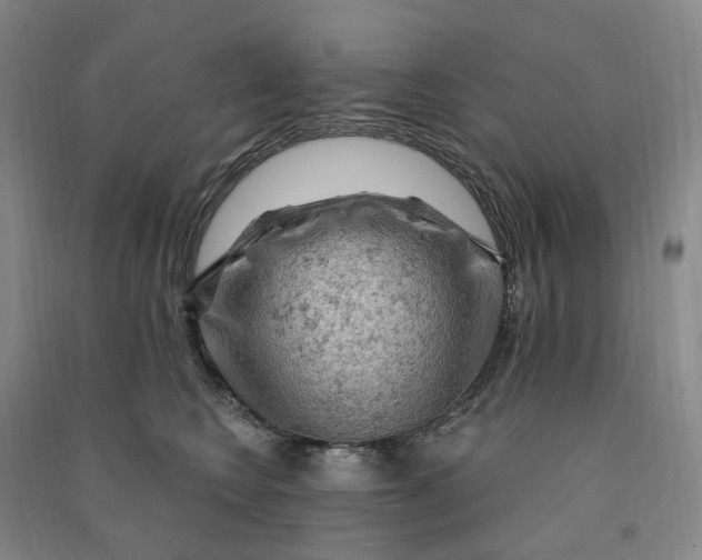 X0000090890566200708171708