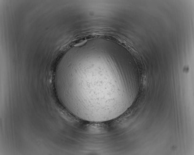 X0000090890567200708171708