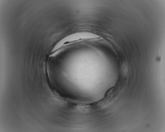 X0000090890571200708171708