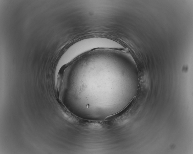 X0000090890572200708171708