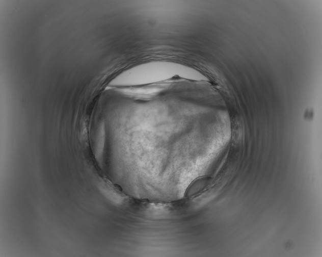 X0000090890573200708171708