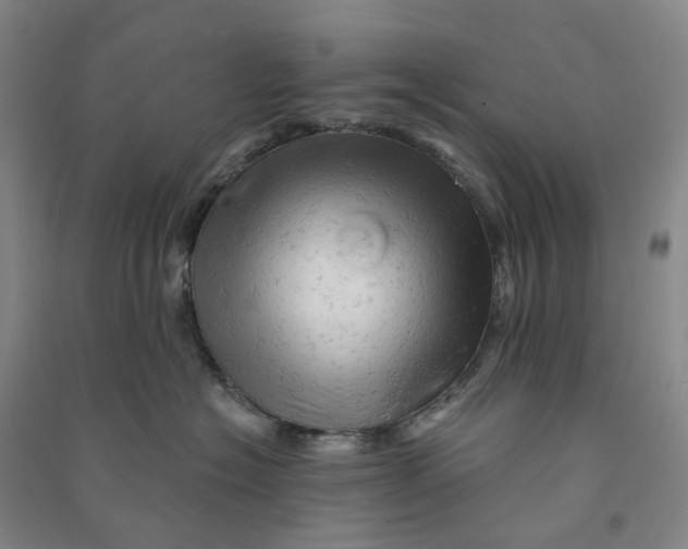 X0000090890574200708171708