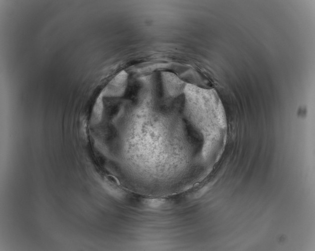 X0000090890575200708171708