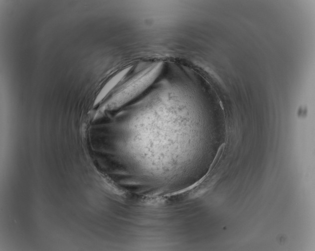 X0000090890576200708171708