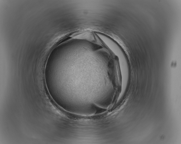 X0000090890577200708171707