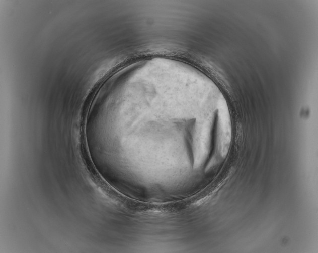 X0000090890578200708171707