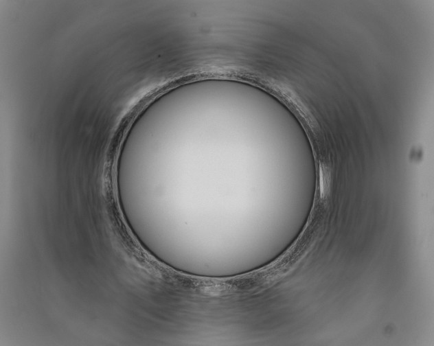 X0000090890579200708171707