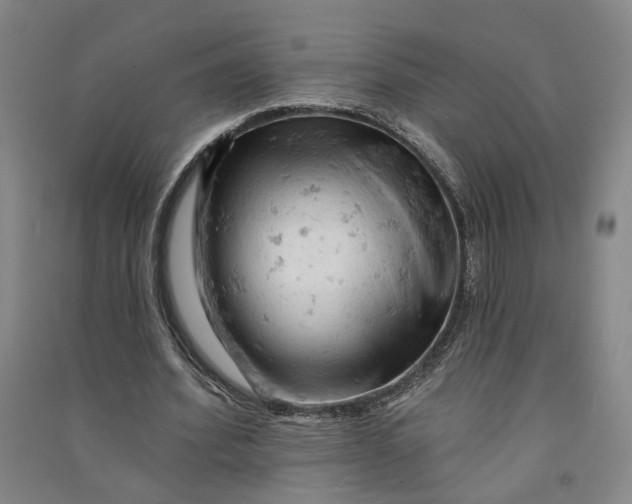 X0000090890580200708171707