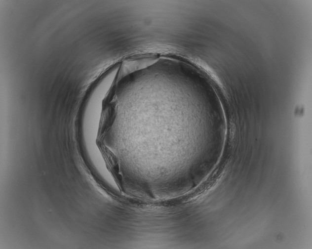 X0000090890581200708171707