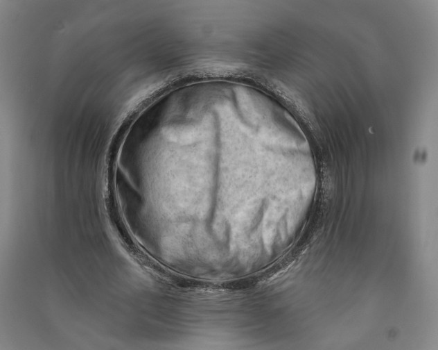 X0000090890582200708171707