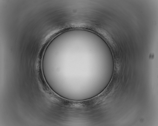 X0000090890583200708171707