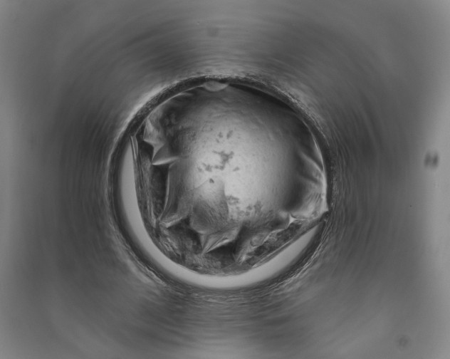 X0000090890584200708171707