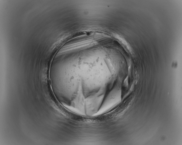 X0000090890585200708171707