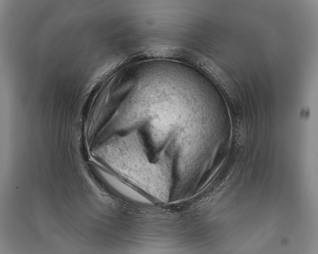 X0000090890586200708171707