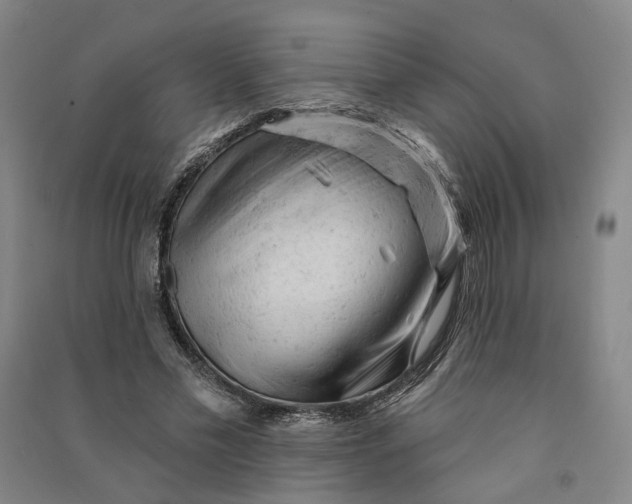 X0000090890589200708171707