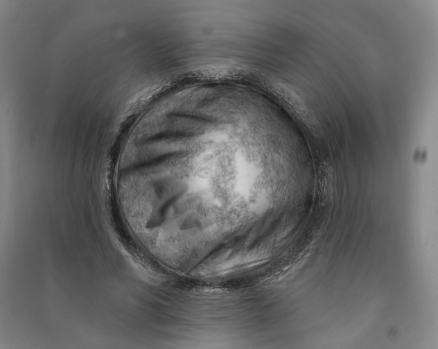 X0000090890590200708171707